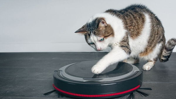 5-Year Anniversary Gift Idea 20: iRobot Roomba Robot Vacuum